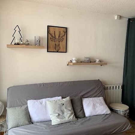 Appartement Au Pied Des Pistes 沙泰勒 外观 照片
