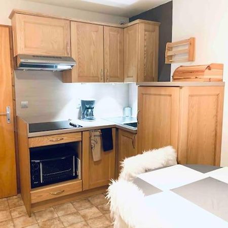 Appartement Au Pied Des Pistes 沙泰勒 外观 照片