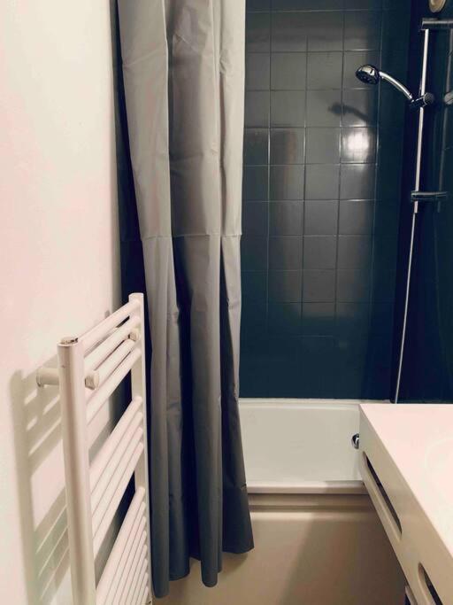 Appartement Au Pied Des Pistes 沙泰勒 外观 照片
