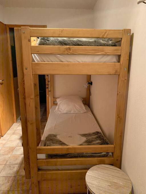 Appartement Au Pied Des Pistes 沙泰勒 外观 照片
